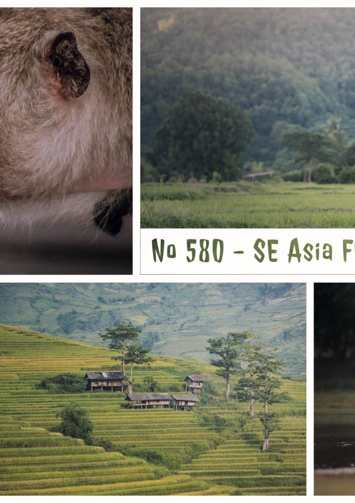 No 580 – SE Asia Flash Packers – Pt1